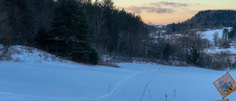 Sneeuw- en skisporten