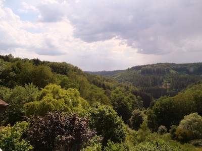 Appartement duplex, grande terrasse, Parc Naturel des Vosges du Nord