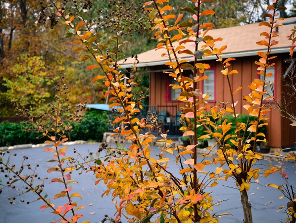 Quaint cozy cabin and quiet solitude await you.