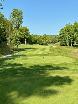 Cedar River Valley Hole #1 200 yards from the condo