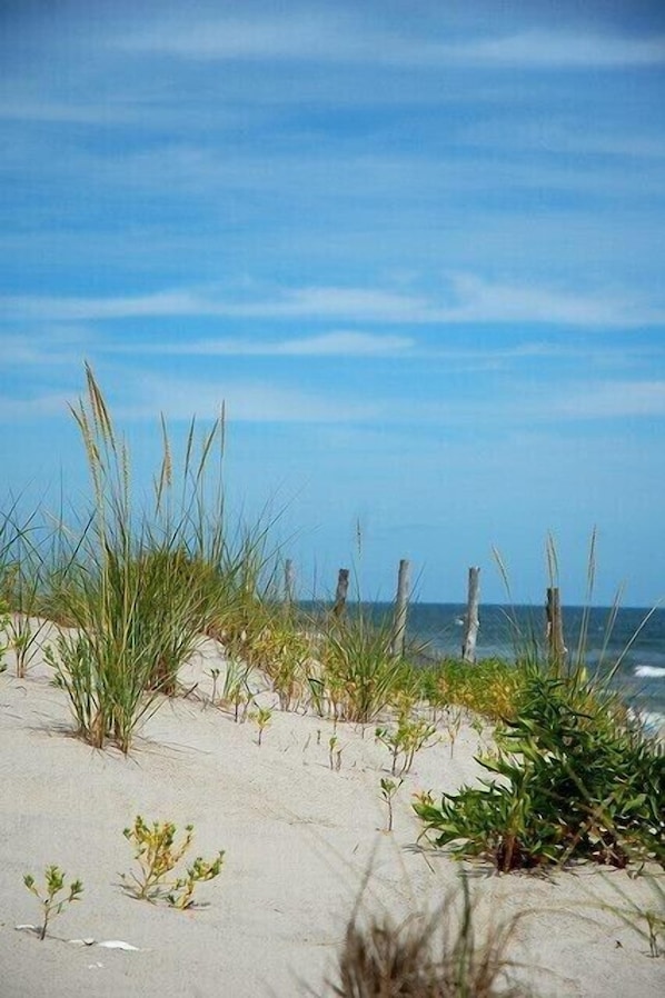 Playa