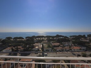 Vista da propriedade