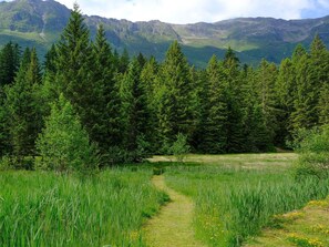 Mountain, Plant, Cloud, Sky, Green, Tree, Larch, Natural Landscape, Land Lot, Grass