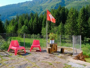 Pflanze, Berg, Pflanzengemeinschaft, Ökoregion, Natürliche Landschaft, Botanik, Natur, Blatt, Baum, Grundstueck