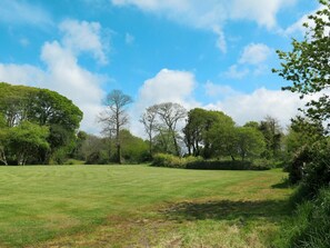 Natürliche Landschaft, Himmel, Natur, Grün, Gras, Wolke, Baum, Natürlichen Umgebung, Wiese, Daytime