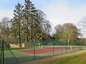 Complexe Sportif, Arbre, Herbe, Printemps, Parc, Court De Tennis, Net, Clôture, Plante