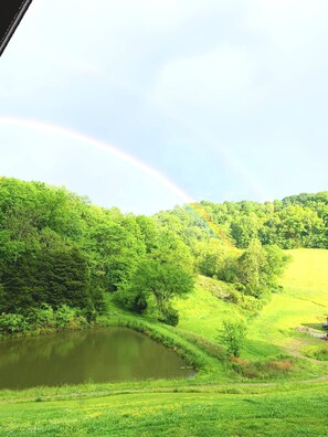 Oklassificerad bild, 2 av 31, knapp