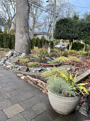 Front yard hosts a grand Gary Oak indigenous to the south island. 