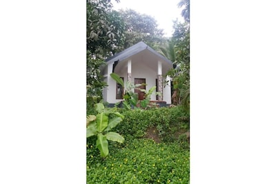 Wayal Wayanad Twin villa amidst green 