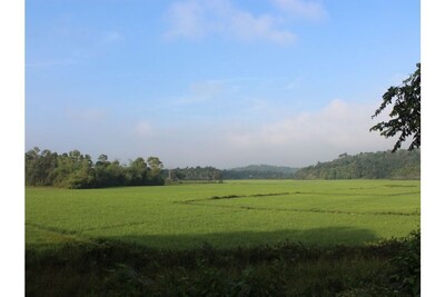 Wayal Wayanad Twin villa amidst green 