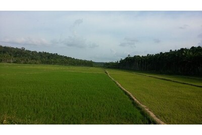 Wayal Wayanad Twin villa amidst green 