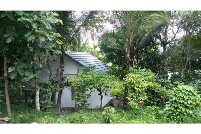 Wayal Wayanad Twin villa amidst green 