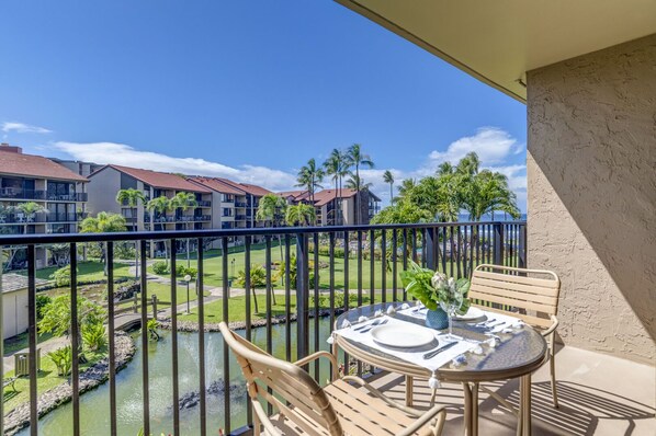 Watch the koi ponds from above