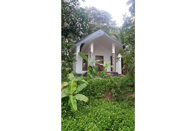 Honeymoon villa-Green,eco friendly, Natural,tribal life, village resort