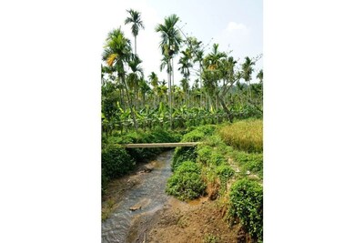 Honeymoon villa-Green,eco friendly, Natural,tribal life, village resort