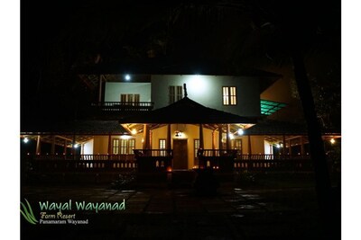 Honeymoon villa-Green,eco friendly, Natural,tribal life, village resort