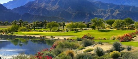 Take in the natural beauty from one of the 5 scenic golf courses close by.