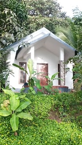 All 3 Family Villas Amidst green