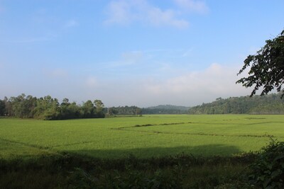 All 3 Family Villas Amidst green