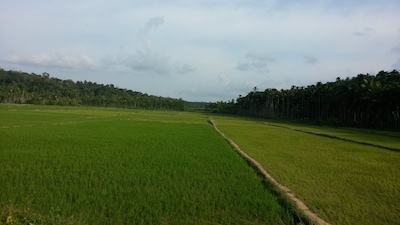 All 3 Family Villas Amidst green