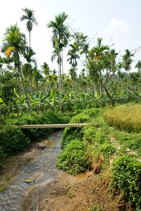 All 3 Family Villas Amidst green