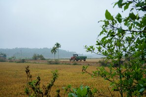 Terrenos do alojamento