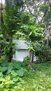 All 3 Family Villas Amidst green