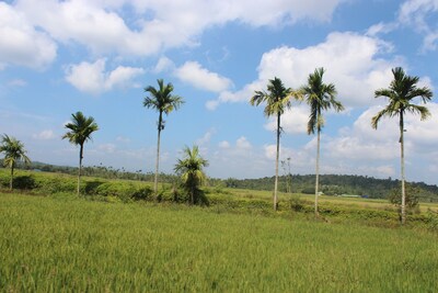 All 3 Family Villas Amidst green