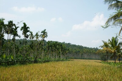 All 3 Family Villas Amidst green