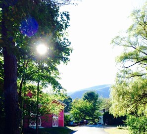 Beautiful Catskill Mountain views from the foothills 