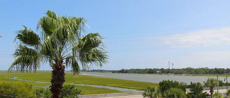 Folly Beach