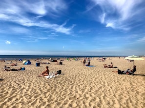 Strand Bergen aan Zee