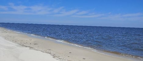 The beach to enjoy at The Spotted Grouper.