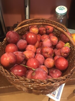 Just picked from my plum tree.