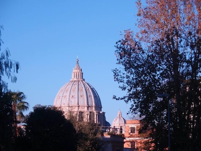 Rom: Rom-Vatikan schweigt in 500m von St. Peter