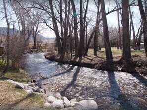 Soothing Cottonwood Creek