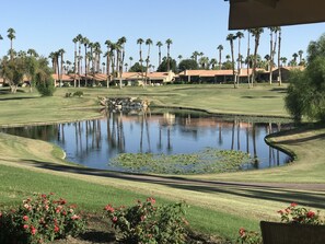 Amazing View from patio