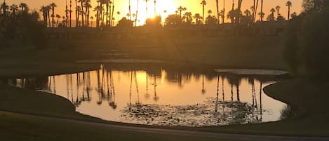 Beautiful sunrise from the patio