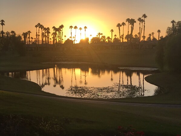 Beautiful sunrise from the patio