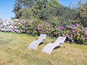 Flower, Shrub, Garden, Groundcover, Pink, Purple, Spring, Flowering Plant, Landscaping, Lawn