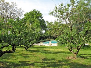 Plant, Sky, Plant Community, Natural Landscape, Shade, Cloud, Land Lot, Tree, Grass, Landscape