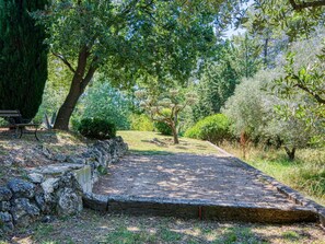 Plante, Arbre, Surface De La Route, Paysage Naturel, Ombre, Bois, Herbe, Paysage, Arbuste, Couverture De Sol