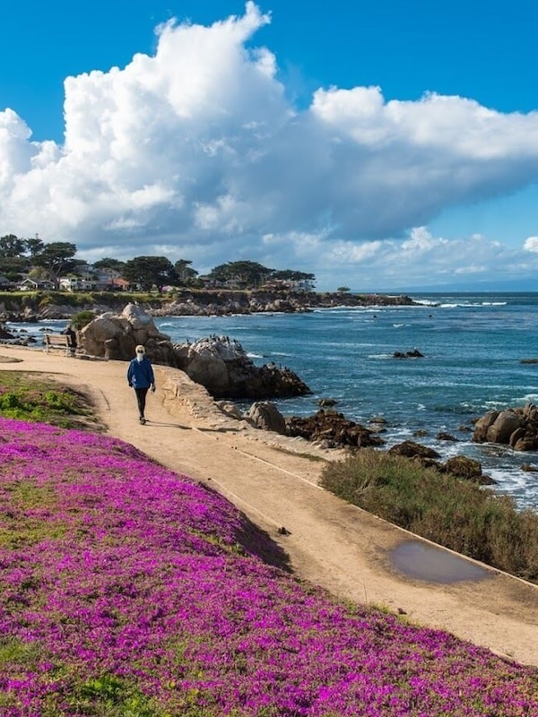 Pacific Grove / Recreation Trail