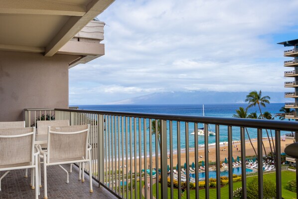 Aston Whaler at Kaanapali Beach #770
