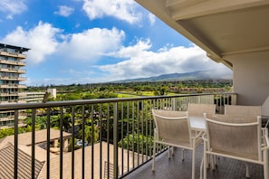 Aston Whaler at Kaanapali Beach #770