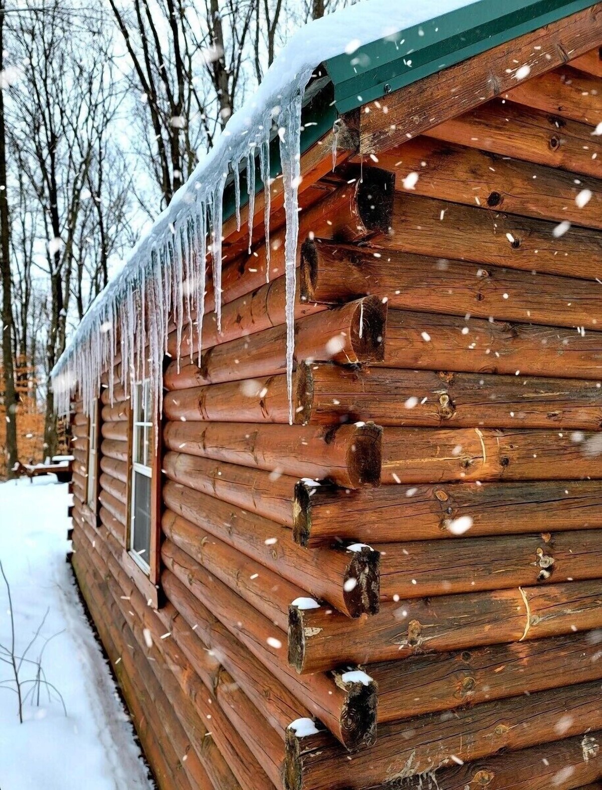Acorn Trail Cabin