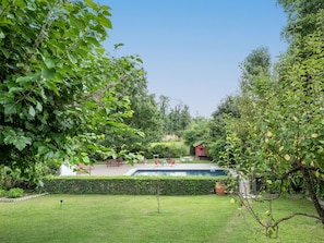 Plant, Sky, Natural Landscape, Botany, Tree, Vegetation, Land Lot, Shade, Biome, Grass