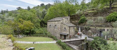 Pianta, Cielo, Proprietà, Nube, Comunita 'Impianto, Natura, Paesaggio Naturale, Lotto, Vegetazione, Albero