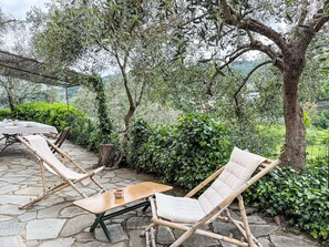 Plante, Meubles, Communauté Des Plantes, Mobilier De Jardin, Herbe, Paysage Naturel, Arbre, Table, Ombre, Bois