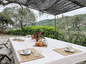 Plante, Table, Vaisselle, Meubles, Propriété, Pot De Fleur, Arbre, Ciel, Bâtiment, Mobilier De Jardin